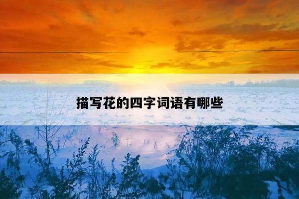 描写花的四字词语有哪些