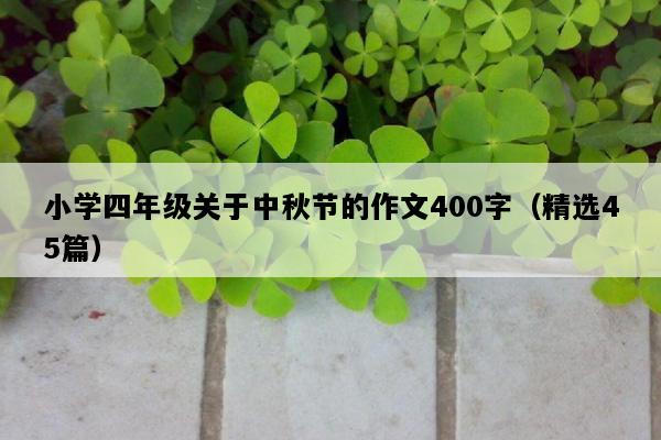 小学四年级关于中秋节的作文400字（精选45篇）