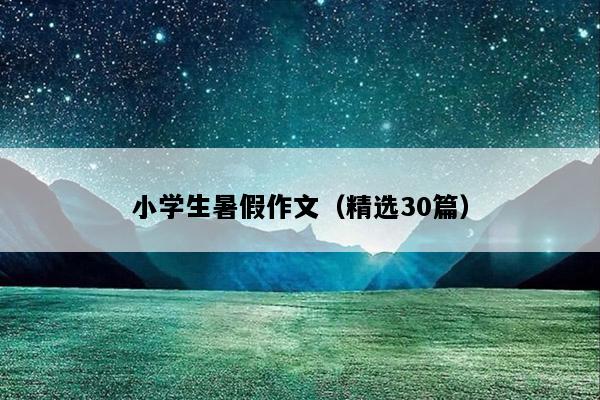 小学生暑假作文（精选30篇）