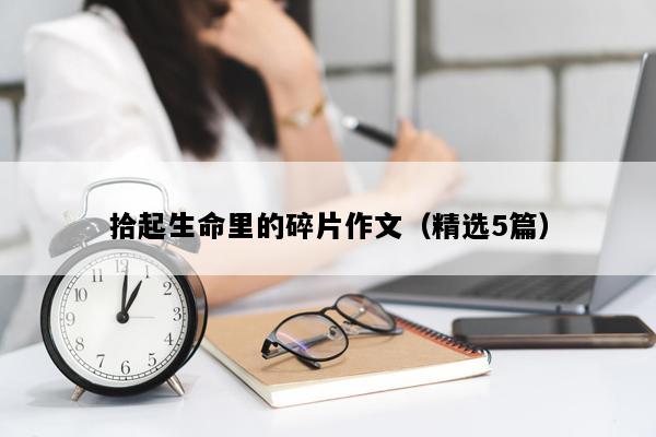 拾起生命里的碎片作文（精选5篇）