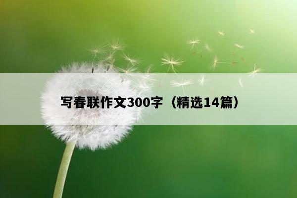 写春联作文300字（精选14篇）