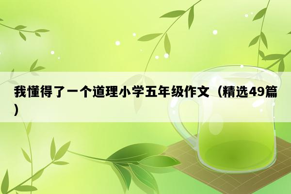 我懂得了一个道理小学五年级作文（精选49篇）