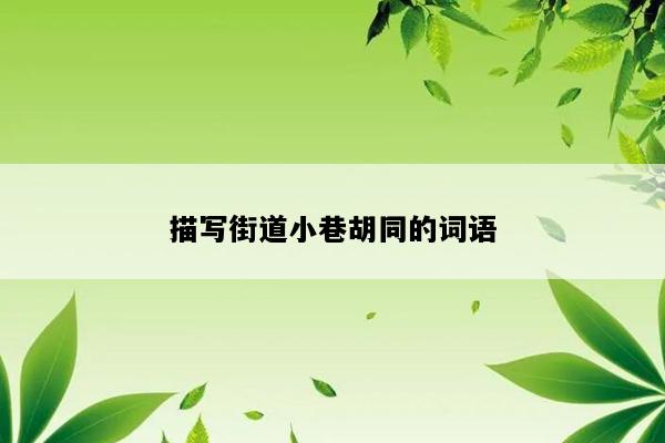 描写街道小巷胡同的词语