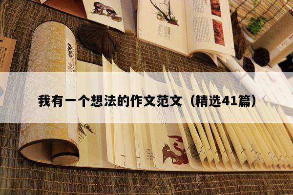我有一个想法的作文范文（精选41篇）