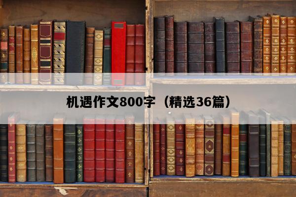 机遇作文800字（精选36篇）