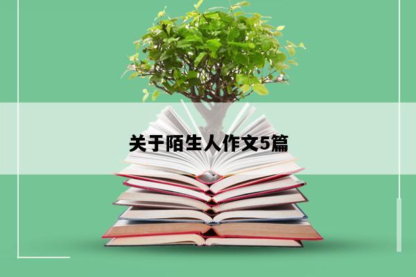 关于陌生人作文5篇