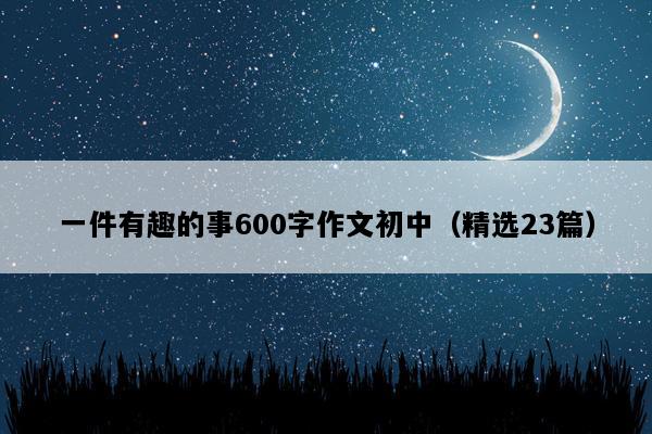 一件有趣的事600字作文初中（精选23篇）