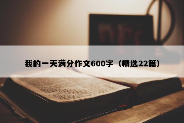 我的一天满分作文600字（精选22篇）