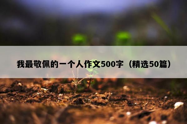 我最敬佩的一个人作文500字（精选50篇）
