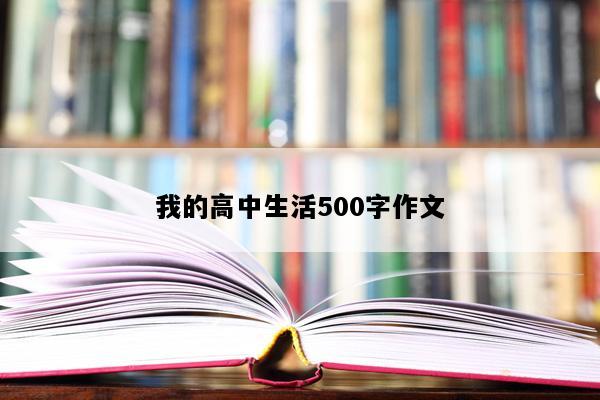 我的高中生活500字作文