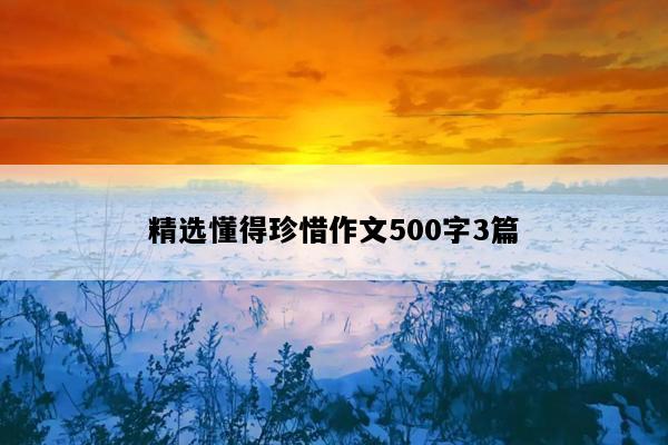 精选懂得珍惜作文500字3篇
