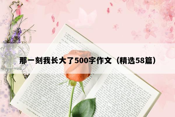 那一刻我长大了500字作文（精选58篇）