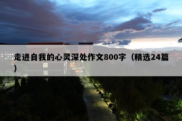 走进自我的心灵深处作文800字（精选24篇）
