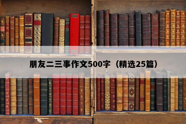朋友二三事作文500字（精选25篇）