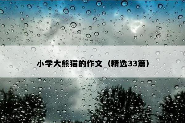 小学大熊猫的作文（精选33篇）