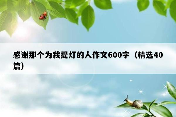 感谢那个为我提灯的人作文600字（精选40篇）