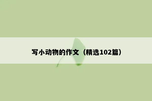 写小动物的作文（精选102篇）