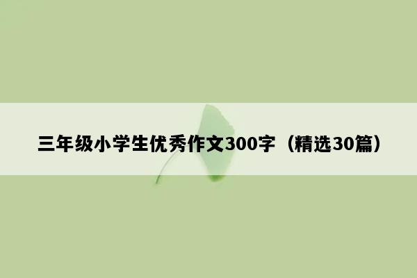 三年级小学生优秀作文300字（精选30篇）