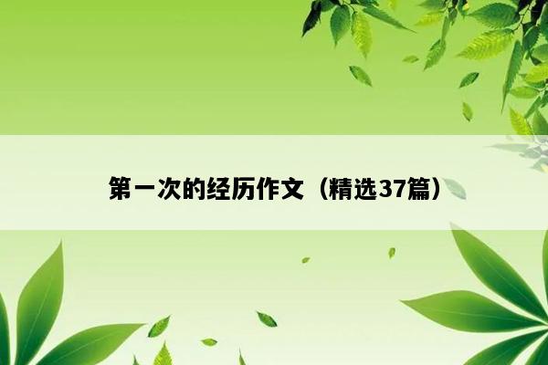 第一次的经历作文（精选37篇）
