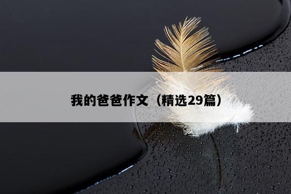我的爸爸作文（精选29篇）