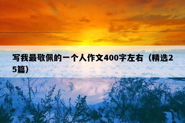 写我最敬佩的一个人作文400字左右（精选25篇）