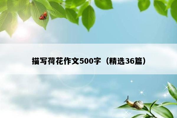 描写荷花作文500字（精选36篇）