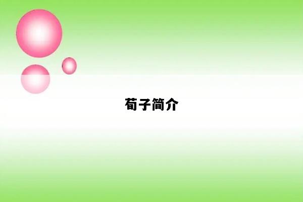 荀子简介