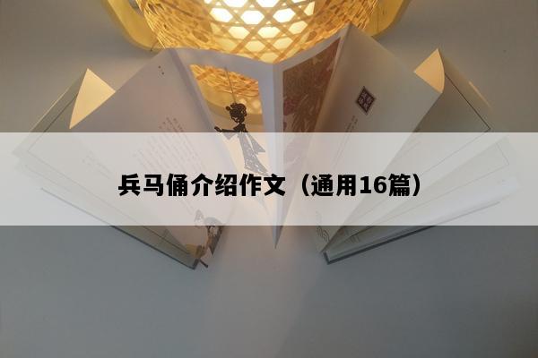 兵马俑介绍作文（通用16篇）