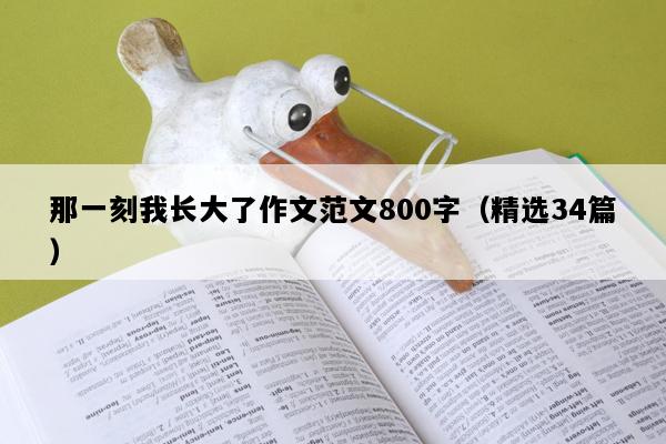 那一刻我长大了作文范文800字（精选34篇）
