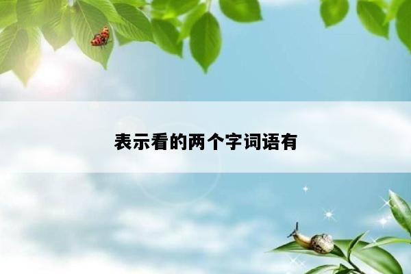 表示看的两个字词语有