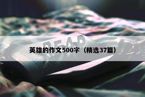 英雄的作文500字（精选37篇）