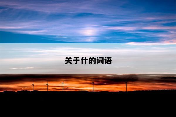 关于什的词语