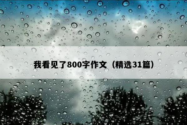 我看见了800字作文（精选31篇）