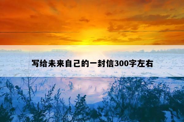 写给未来自己的一封信300字左右