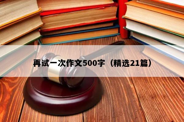 再试一次作文500字（精选21篇）