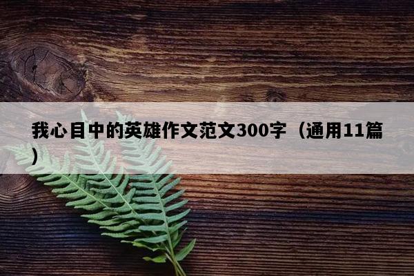我心目中的英雄作文范文300字（通用11篇）