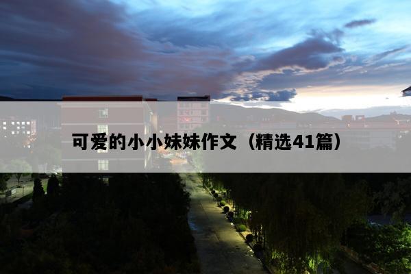 可爱的小小妹妹作文（精选41篇）