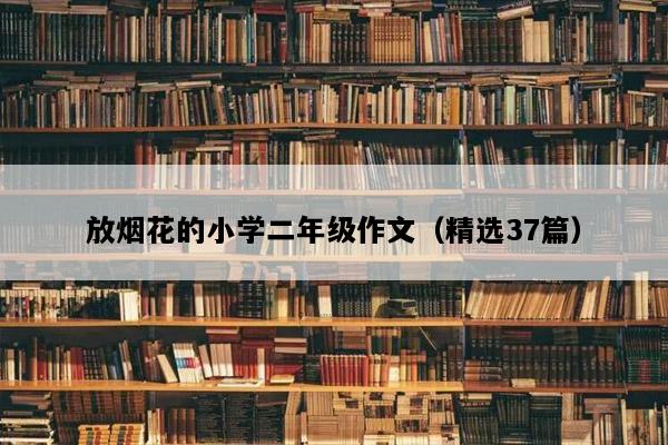 放烟花的小学二年级作文（精选37篇）