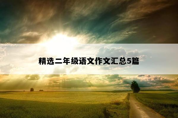 精选二年级语文作文汇总5篇