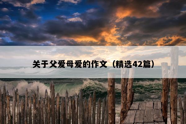 关于父爱母爱的作文（精选42篇）