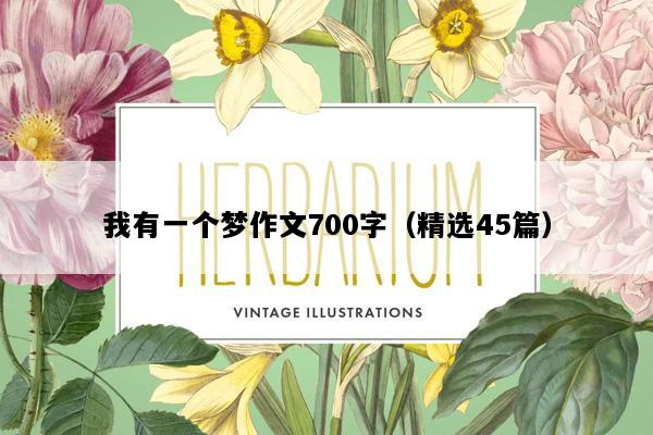 我有一个梦作文700字（精选45篇）