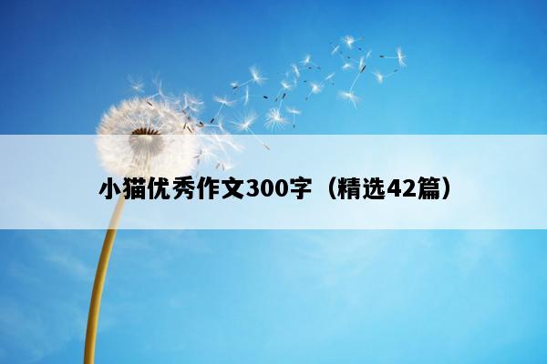 小猫优秀作文300字（精选42篇）