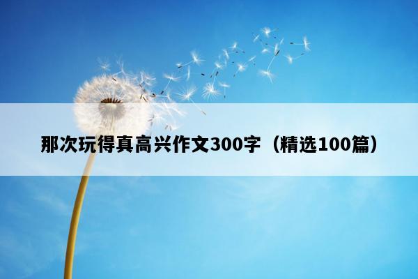 那次玩得真高兴作文300字（精选100篇）