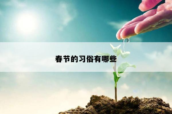 春节的习俗有哪些