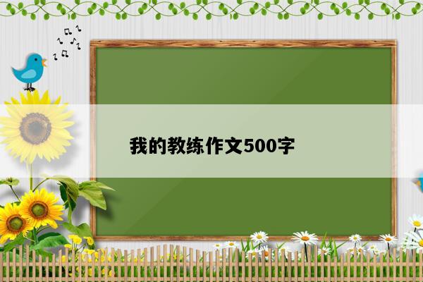 我的教练作文500字