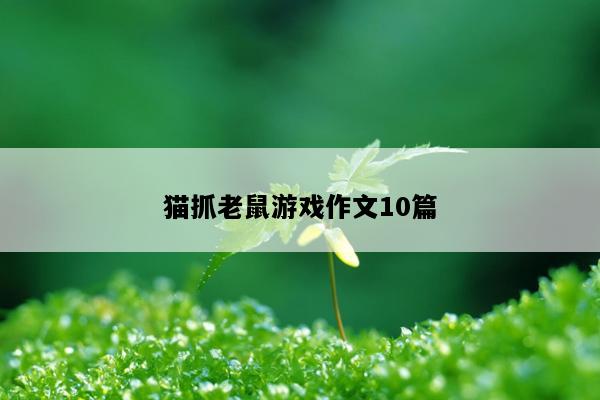 猫抓老鼠游戏作文10篇