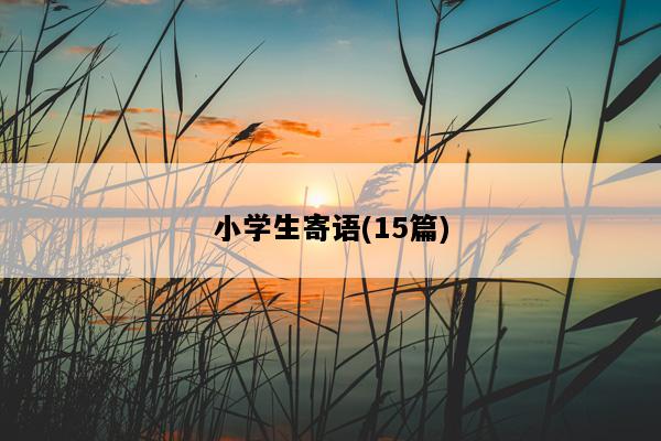 小学生寄语(15篇)