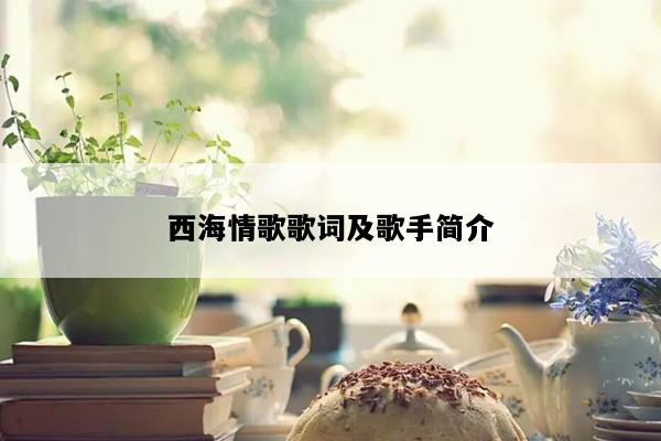 西海情歌歌词及歌手简介