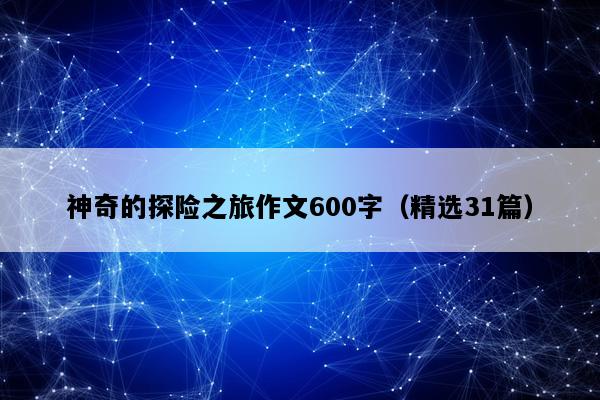 神奇的探险之旅作文600字（精选31篇）