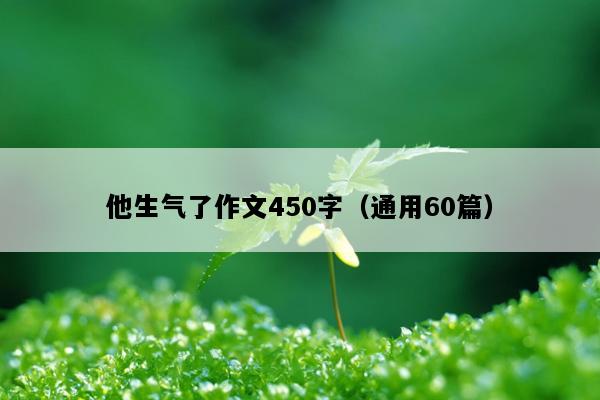 他生气了作文450字（通用60篇）